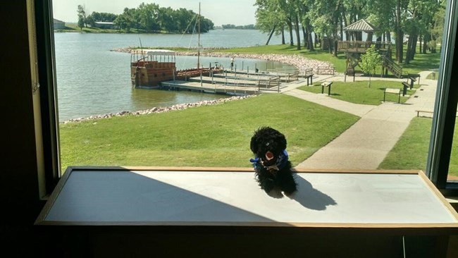 toy dog with keelboat and lake in the background