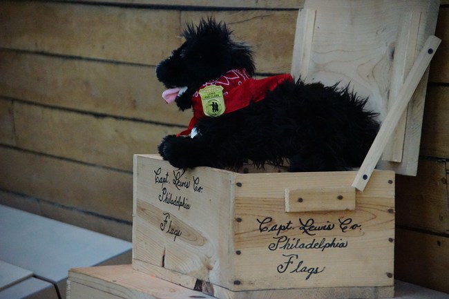 stuffed pup on crate