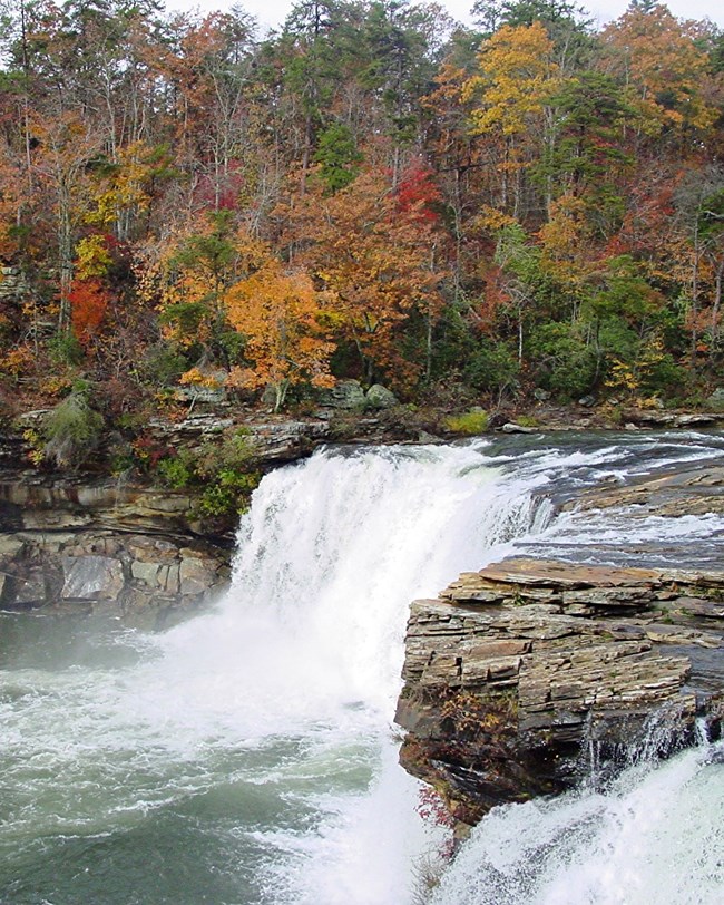 waterfall and trees in fall