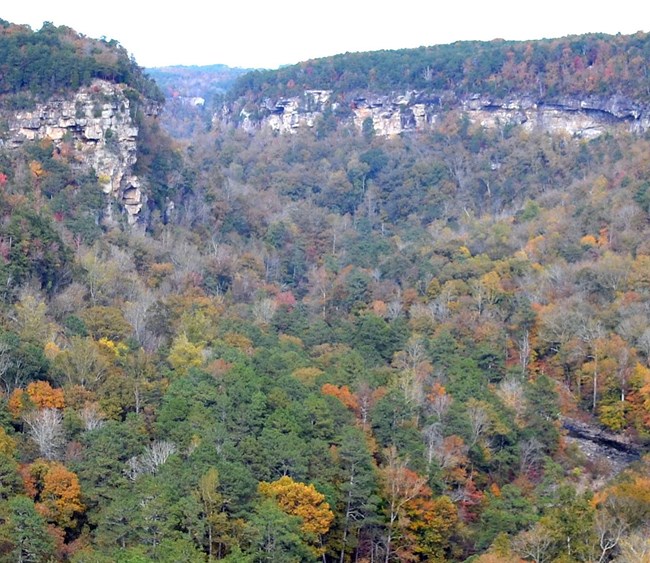 overview of river canyon