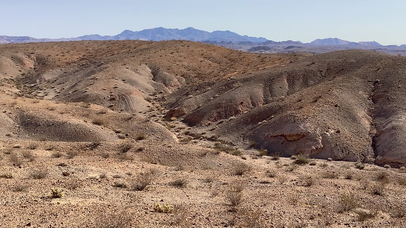 Mojave Desert A landscape view of Lake Mead’s brown, desert-like terrain with mountains in the distance.
