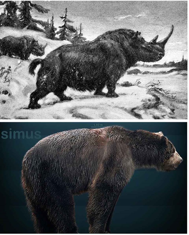 LandBridge Figure examples of pleistocene megafauna