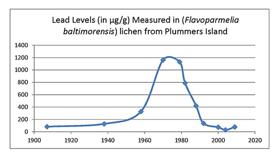 Graph showing lead levels in lichens on Plummers Island over 100 years.