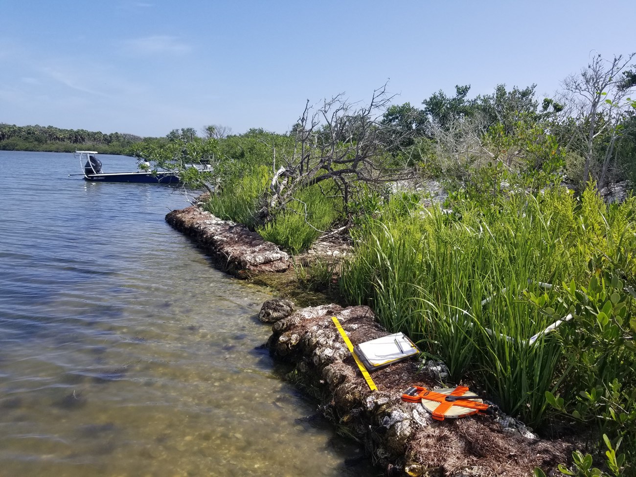 restoration of shoreline with shell bags