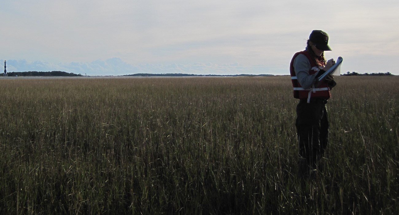 Woman standing in a marsh writing on a clipboard