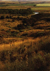 Little Bighorn River Little Bighorn River