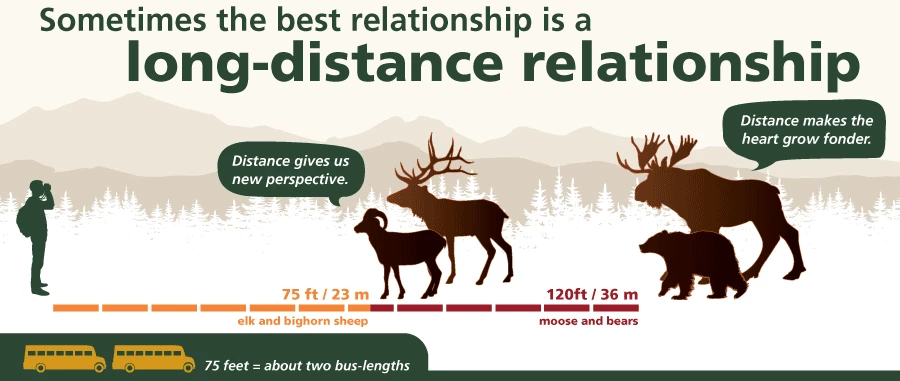 Graphic showing proper distance from wild animals Graphic showing proper distance from wild animals