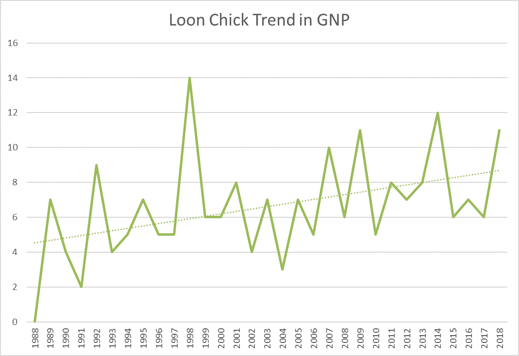 Line graph shows trend of less variation in loon chick numbers from 1998 to 2018.
