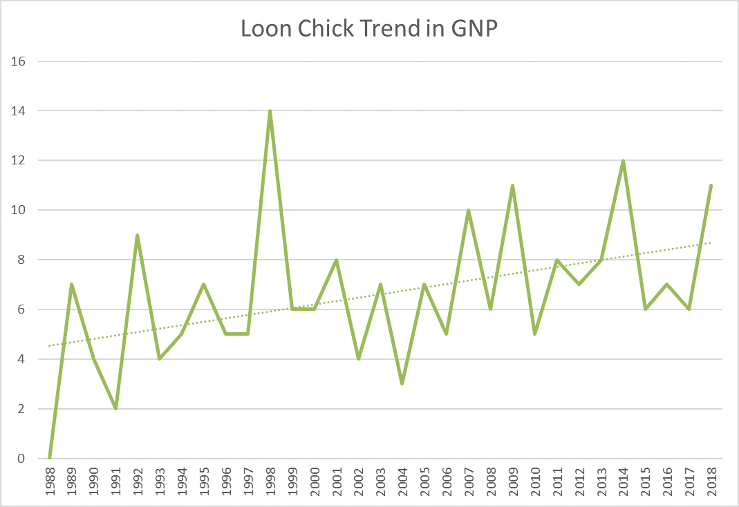 Line graph showing loon chick trends. Line graph shows trend of less variation in loon chick numbers from 1998 to 2018.