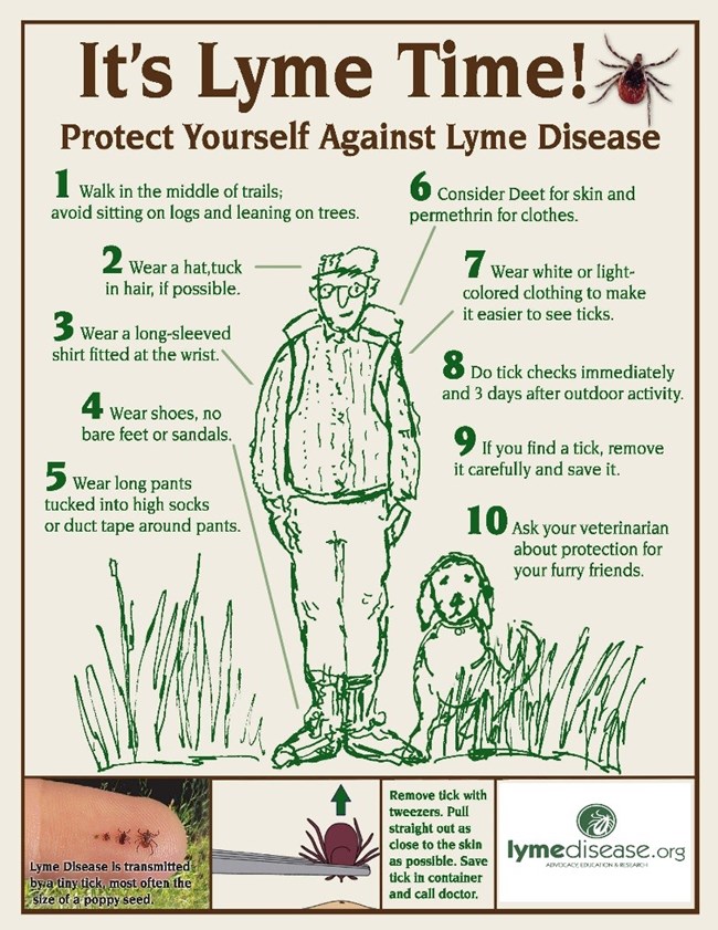 Graphic showing 10 ways to protect yourself from Lyme Disease.