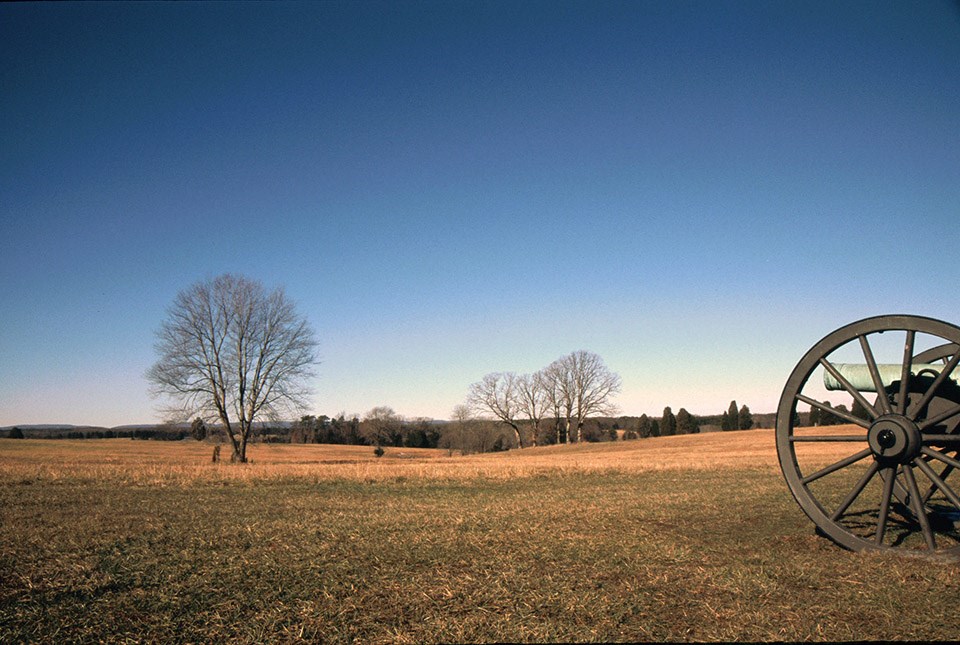 A Civil War cannon points across a golden field at Manassas National Battlefield Park.