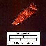 A reddish brown wedge about two inches in length. A reddish brown wedge about two inches in length.