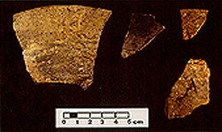 Four irregularly shaped colonoware vessel sherds on a black background. Four irregularly shaped colonoware vessel sherds on a black background.