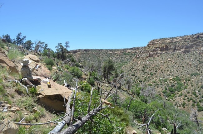 A field scientist in their natural environment at Mesa Verde National Park.