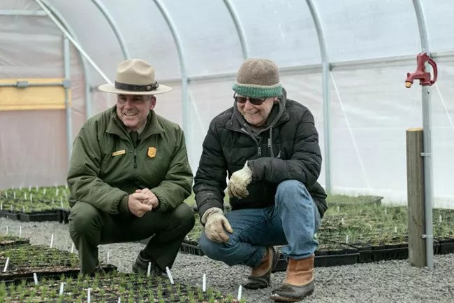 Two men crouched near juvenile plants in a greenhouse Two men crouched near juvenile plants in a greenhouse