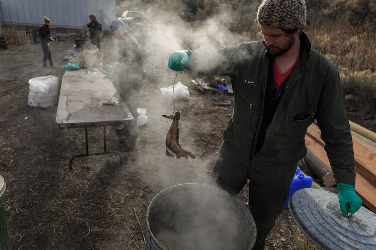 Quinn Harrison digs out a mandible from the bone boiling pot.