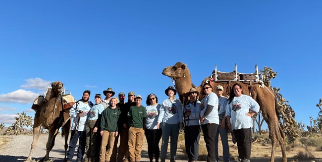 A group of 14 volunteers posing for a photo with two camels on each side. In the background, there are a few clouds in a bright blue sky.