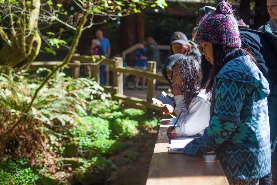 Kids looking over a railing at the woods