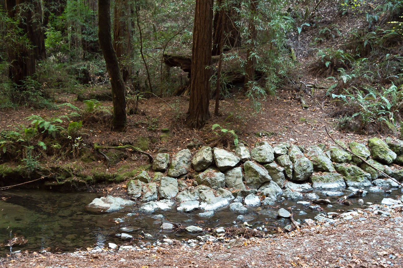 Large, engineered boulders built into a section of stream bank