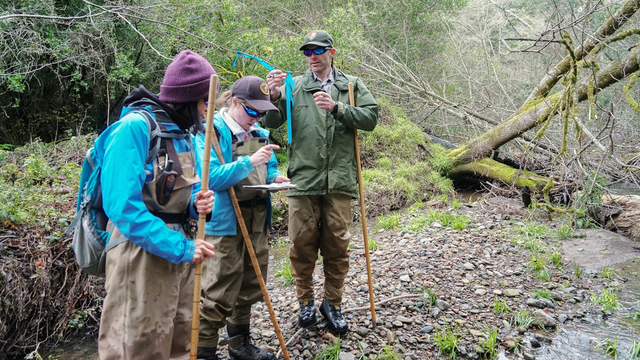 Marking the location of a redd Biologist tying a colored ribbon to a branch beside a creek as other survey team members look at a data sheet