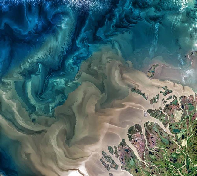 A satellite image of the Mackenzie River delta into the Arctic Ocean.