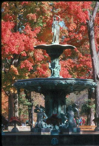 Stone fountain among bright red trees.