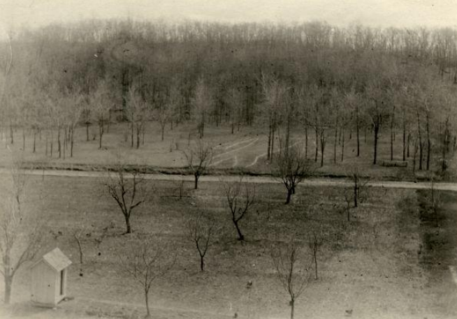 B&W photo with a forest of bare trees and the outline of a man on the ground.