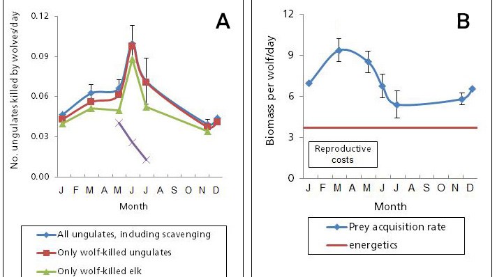 Matt Metz Figure 4ab Figure showing feeding ecology rates over time.