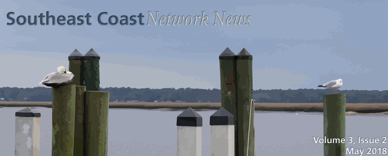 Southeast Coast Network banner image of a gull and a pelican on a dock at Cumberland Island National Seashore