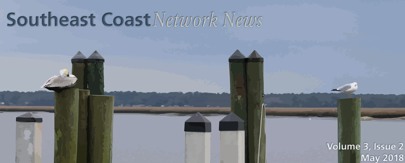Southeast Coast Network banner image of a gull and a pelican on a dock at Cumberland Island National Seashore Southeast Coast Network banner image of a gull and a pelican on a dock at Cumberland Island National Seashore