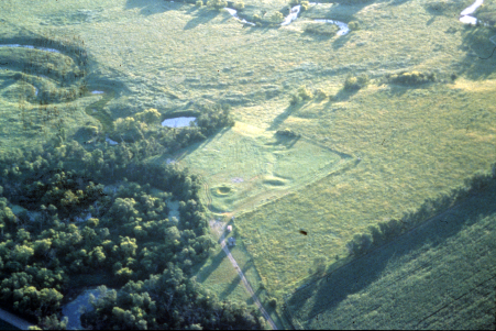 Aerial view of grass and trees.