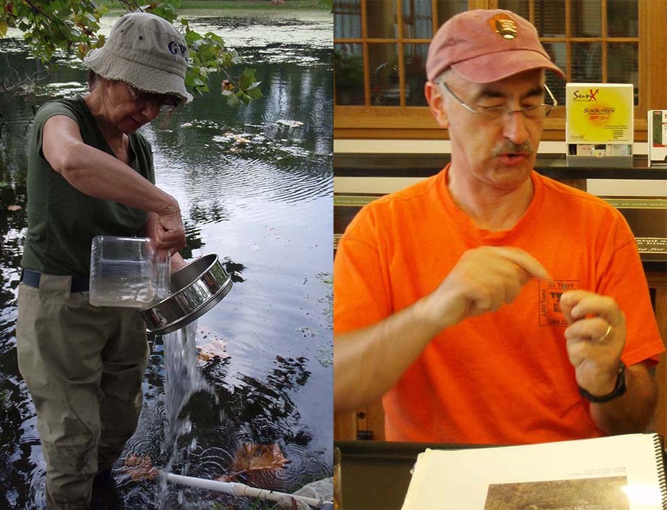 Photos of BioBlitz activities.