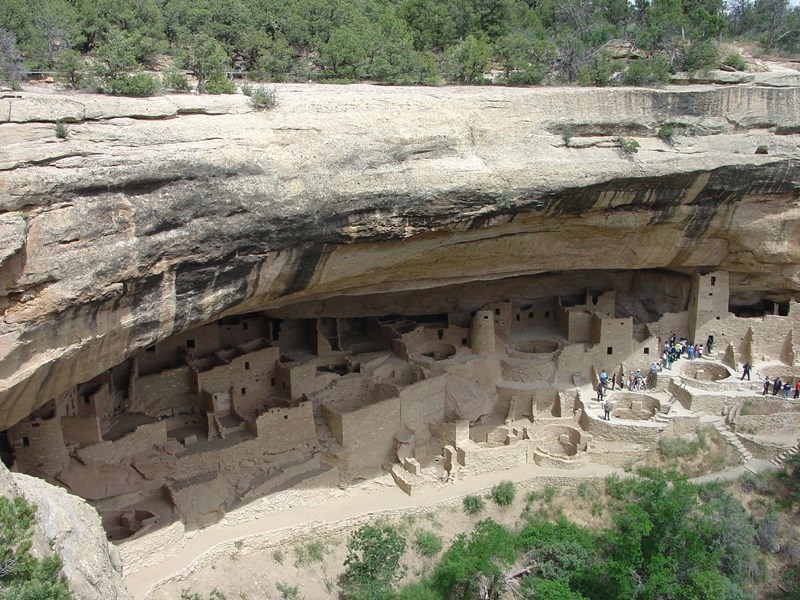 Mesa Verde A view of the Cliff Palace, an ancient cliff dwelling with many rooms and circular kivas, from above.