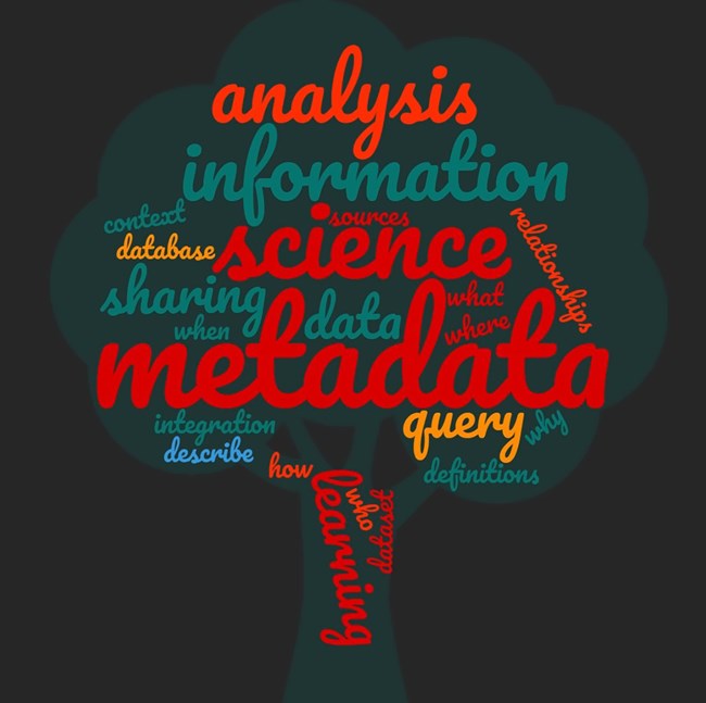 Metadata word cloud in the shape of a tree