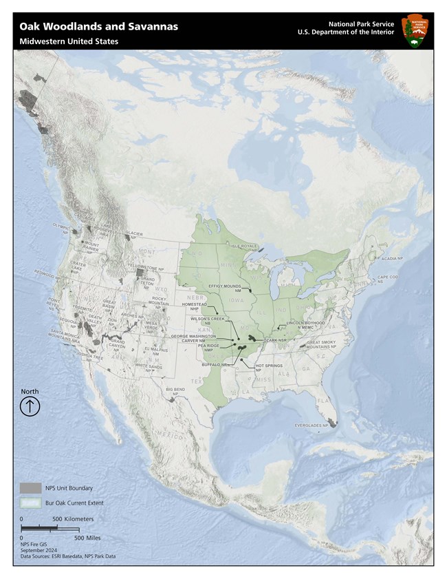 Map showing range of oak woodlands and savannas in the midwestern United States and Canada.