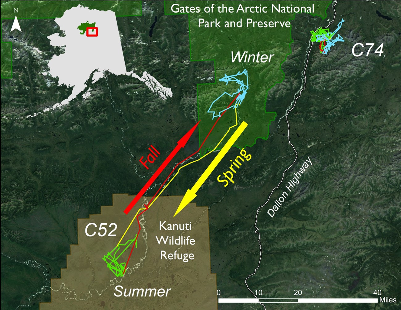 Map of Kanuti NWR and Gates of the Arctic NPP showing summer and winter moose locations with arrows depicting fall and spring movement between them