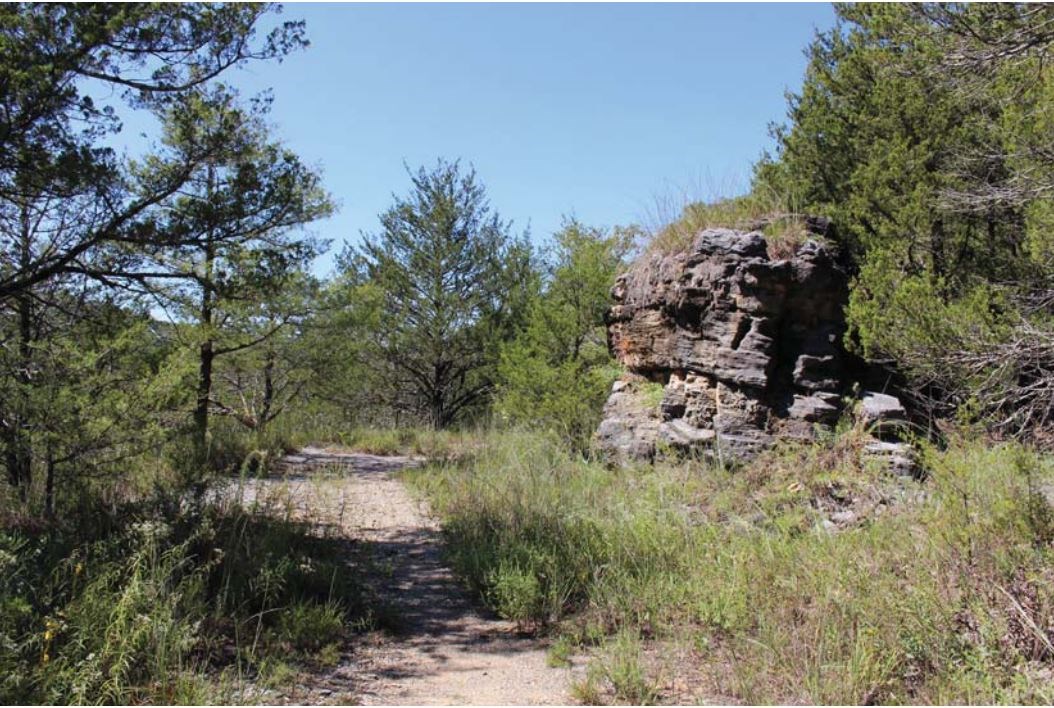 Entrance to McIntosh Mine along a trail, surrounded by low scrub and trees