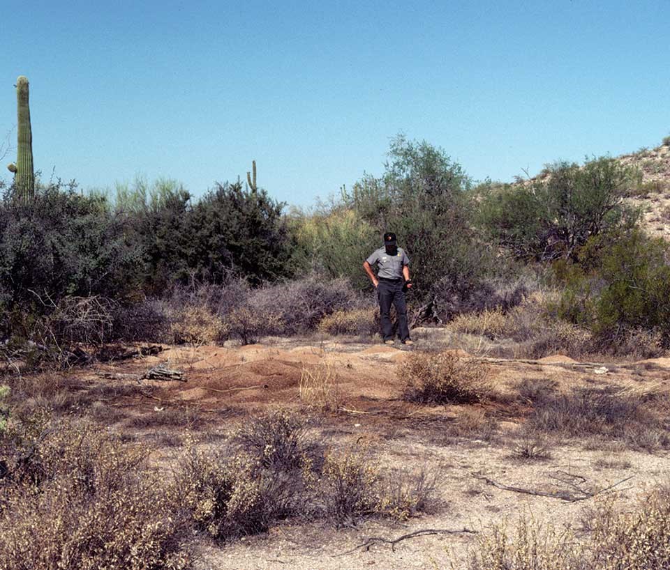 Atta mexicana colony found by NPS staff in Lost Cabin basin (1980). A ranger stands above the Atta mexicana colony