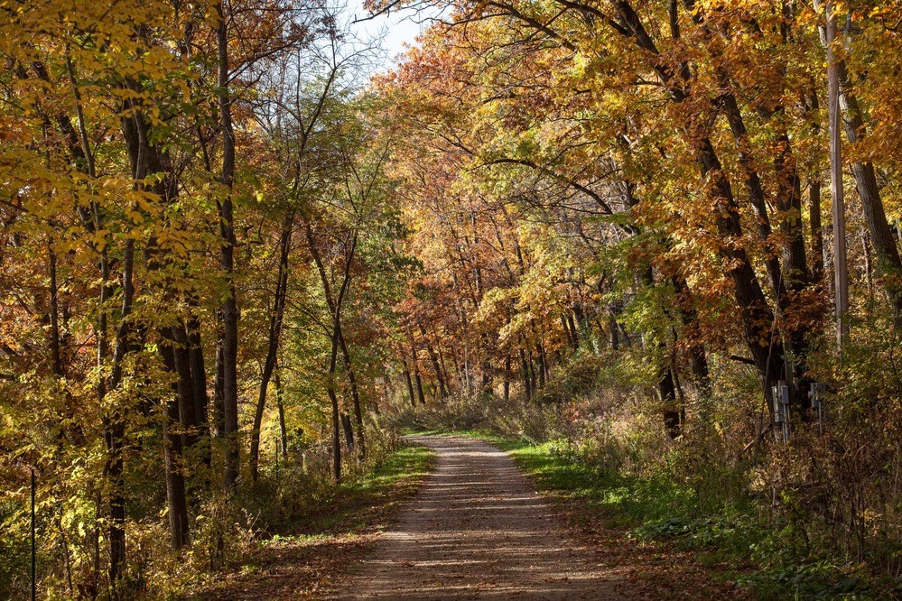 A walking trail leads away into a golden woodland.