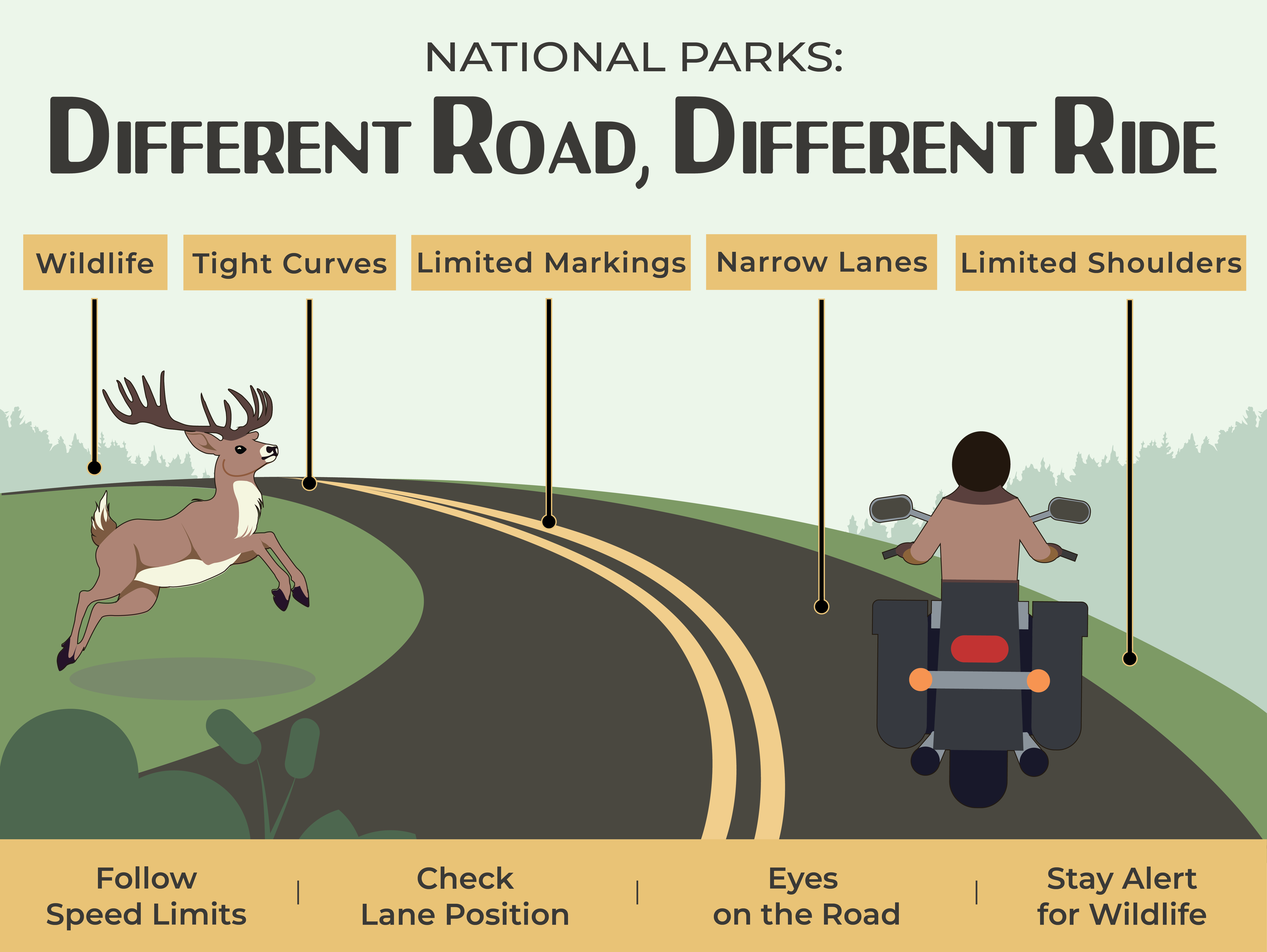MotorcycleSafetyGraphic National Parks: Different road, different ride. Watch out for wildlife, tight curves, limited markings, narrow lanes, and limited shoulders. Remember to follow speed limits, check lane position, keep your eyes on the road, and stay alert for wildlife.