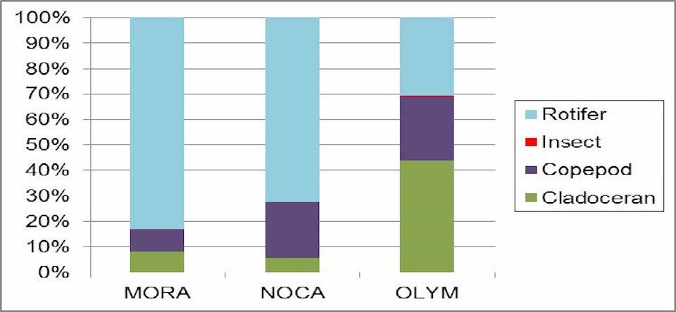Percentage of zooplankton taxonomic groups Chart showing the percentage of Rotifer, Insect, Copepod, and Cladoceran in three parks MORA, NOCA, and OLYM