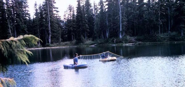 Two people in separate floats hold up a fine net between them that drapes into a mountain lake.