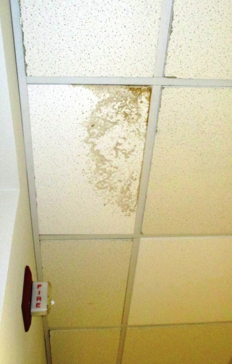 Evidence of mouse urine in a ceiling tile.