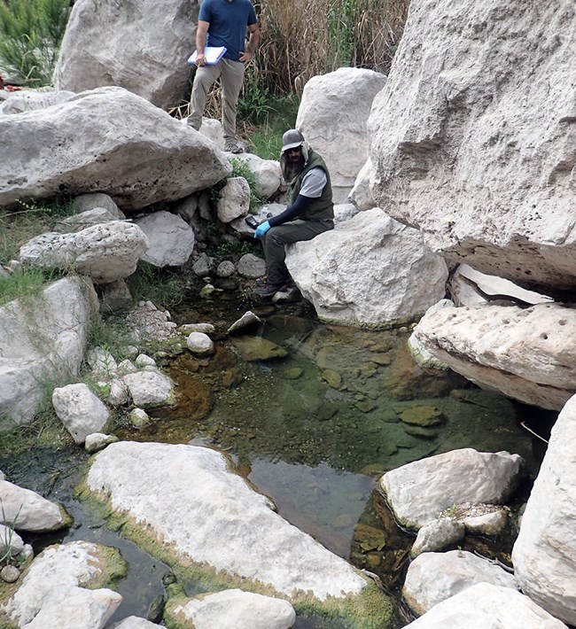 Mouth of the Pecos Spring A small pool of clear water surrounded by boulders and small patches of vegetation