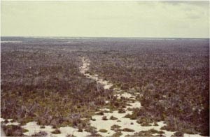 aerial view of canal surrounded by low vegetation