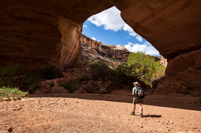 Hiker at Kachina Bridge are of Natural Bridges National Monument. Hiker stands at bottom of canyon looking up at a natural land bridge.