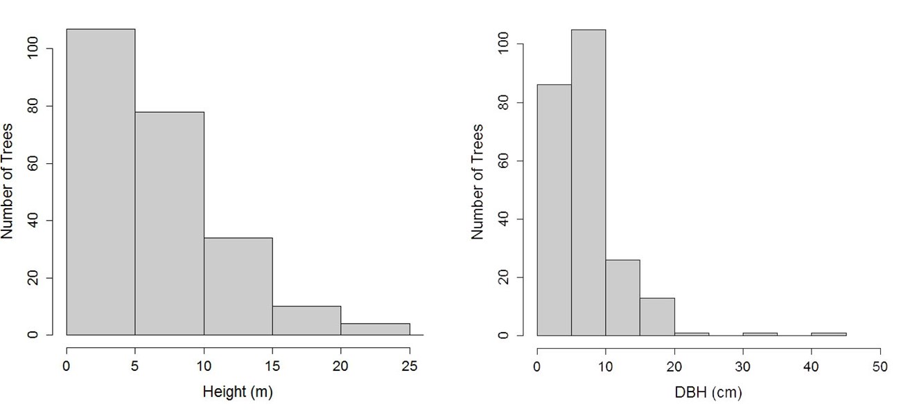 Two bar graphs showing distribution of American chestnut trees in the National Capital Region by height and diameter.