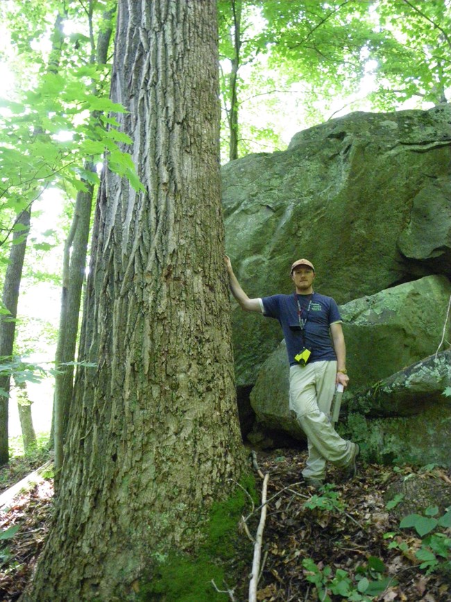 A man stands in a forest, at the base of a rock outcrop. His hand is on the trunk of a large tree.