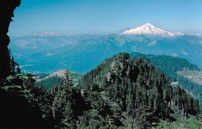 forested mountains with snow covered peak in the distance