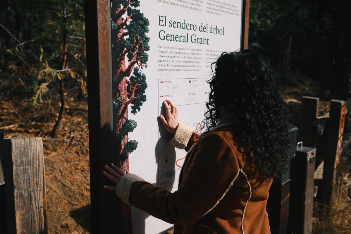 Visitor reads a sign that includes braille translation along the General Grant Tree Trail in Kings Canyon National Park. Person with long dark hair and a jacket places fingers on a sign with large text reading "el sendero del arbol General Grant"
